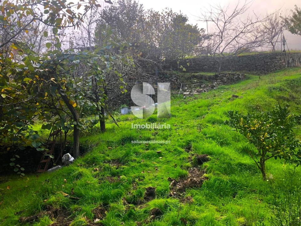 Terreno para Venda em São Martinho de Antas e Paradela de Guiães Foto 18