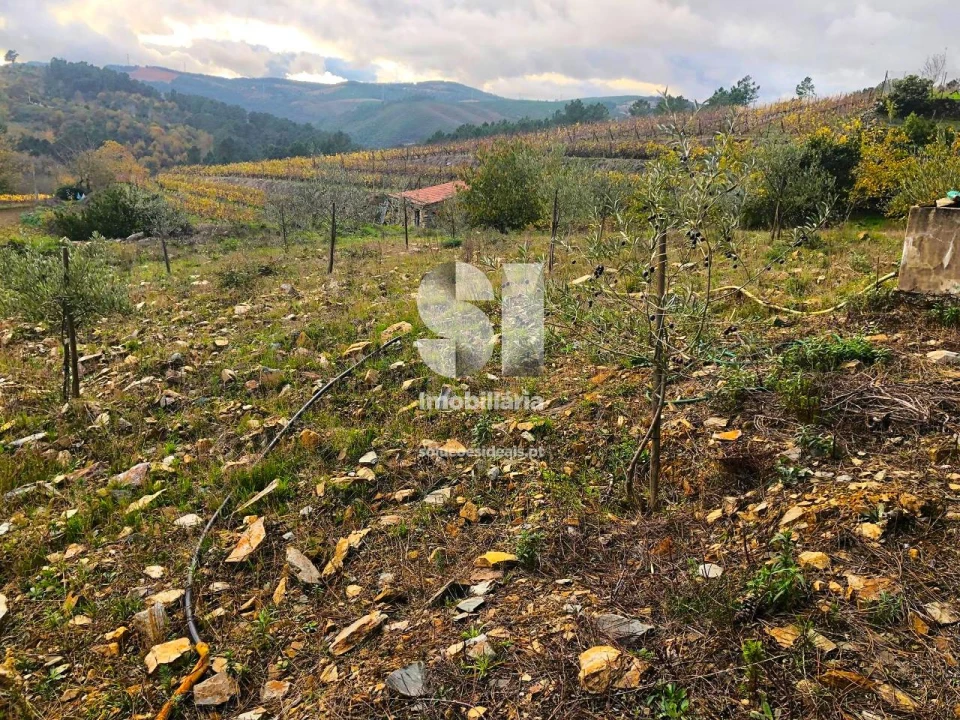 Terreno para Venda em São Martinho de Antas e Paradela de Guiães Foto 19