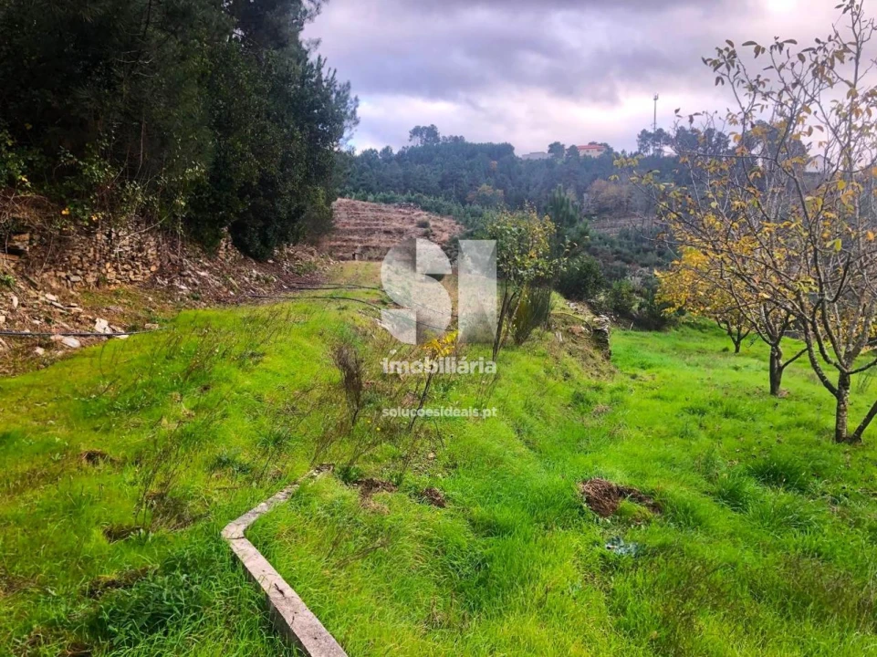 Terreno para Venda em São Martinho de Antas e Paradela de Guiães Foto 21
