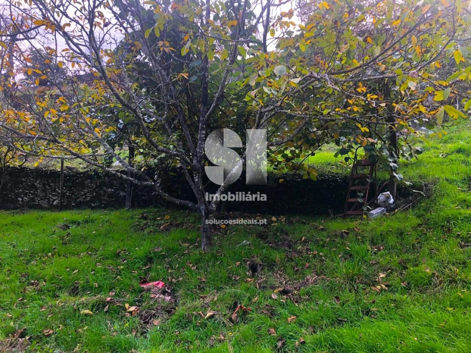 Terreno para Venda em São Martinho de Antas e Paradela de Guiães Foto 23