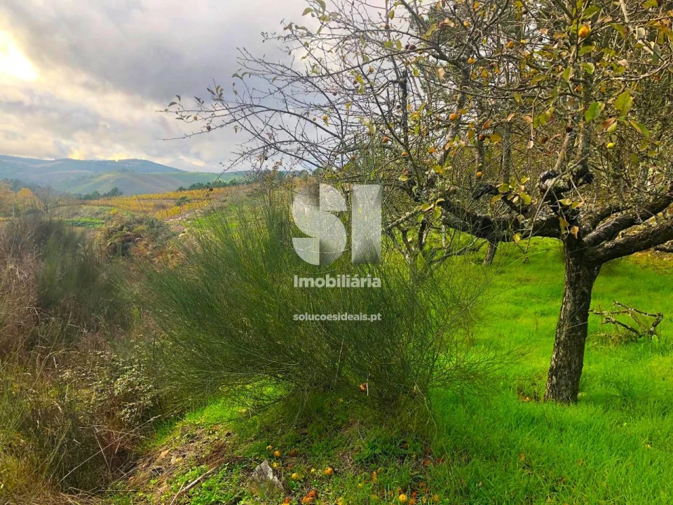 Terreno para Venda em São Martinho de Antas e Paradela de Guiães Foto 25
