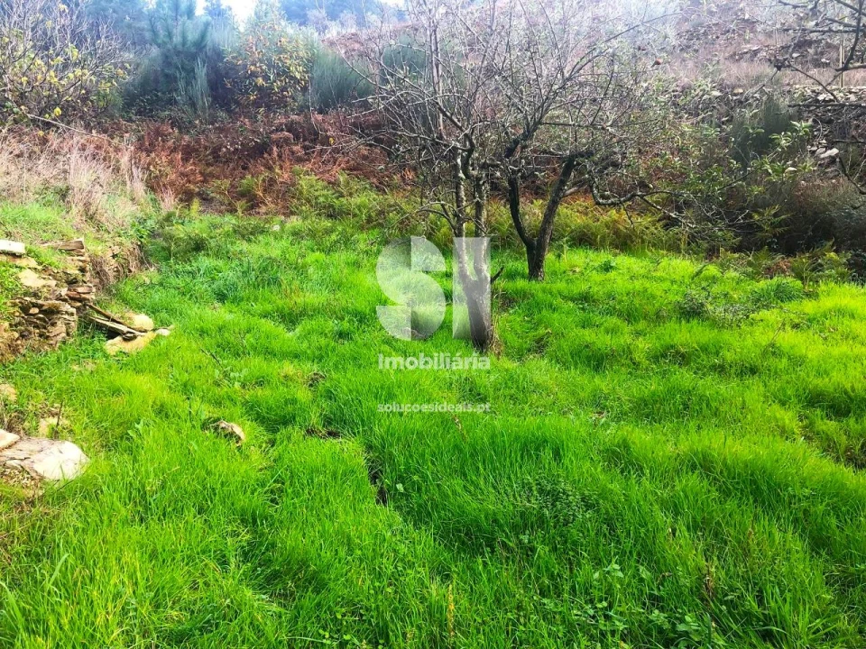 Terreno para Venda em São Martinho de Antas e Paradela de Guiães Foto 26