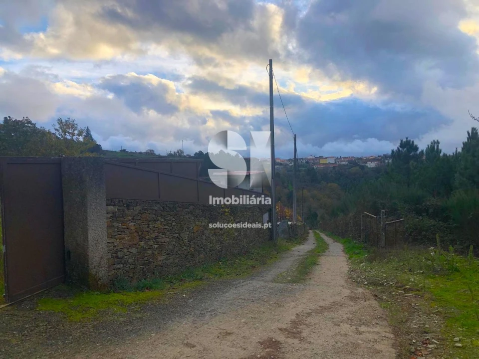 Terreno para Venda em São Martinho de Antas e Paradela de Guiães Foto 27