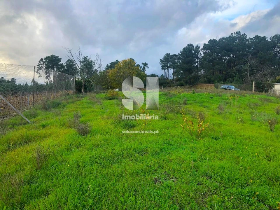 Terreno para Venda em São Martinho de Antas e Paradela de Guiães Foto 28
