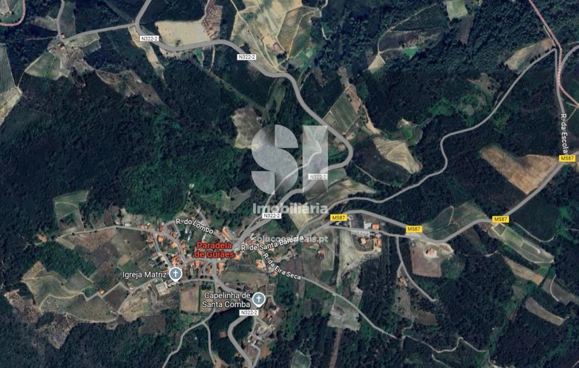 Terreno para Venda em São Martinho de Antas e Paradela de Guiães Foto 33