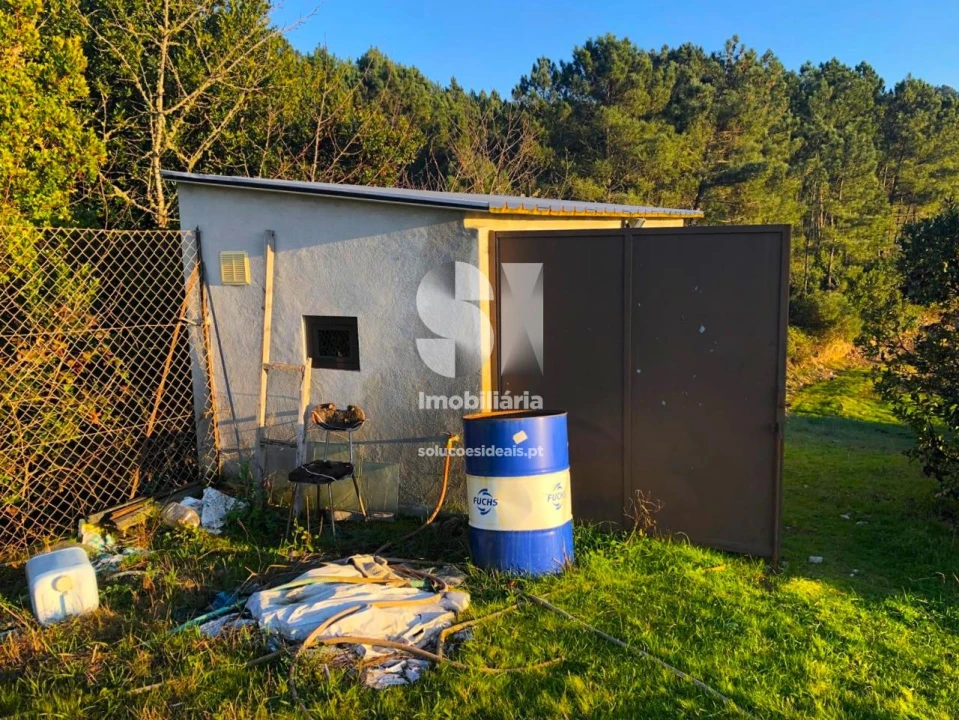 Terreno para Venda em São Martinho de Antas e Paradela de Guiães Foto 32