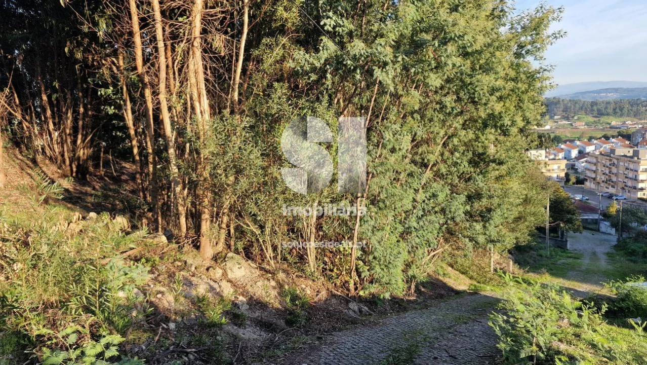 Terreno para Venda em Baltar Foto 5