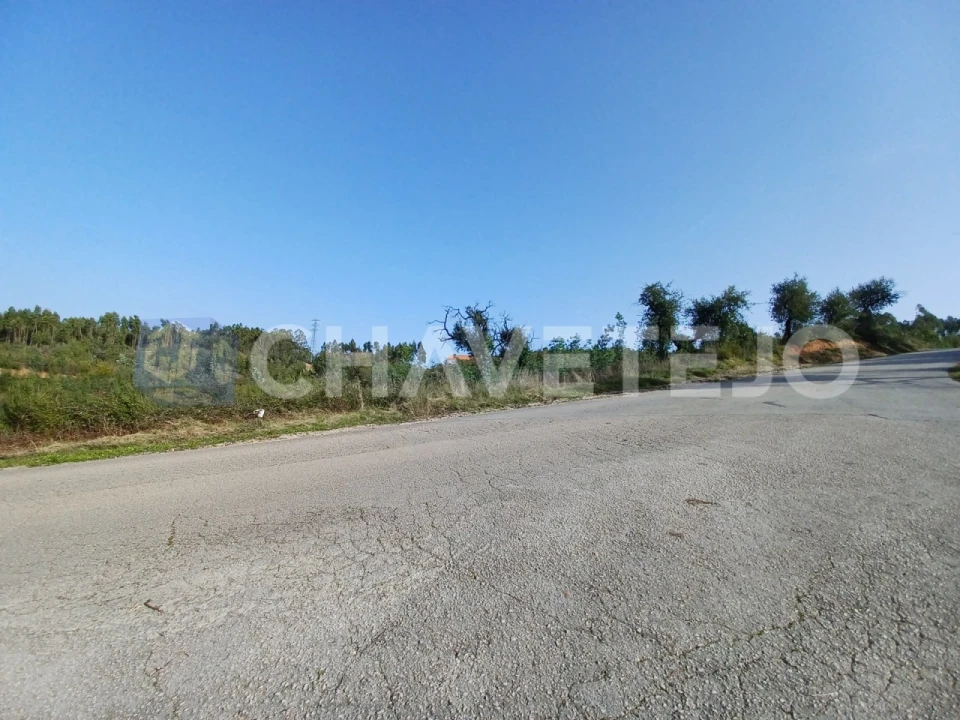 Terreno Agricola ou Rústico para Venda em Asseiceira Foto 1