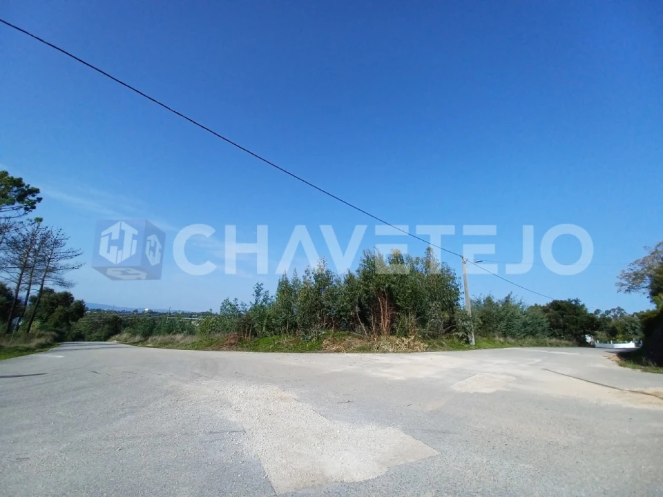 Terreno Agricola ou Rústico para Venda em Asseiceira Foto 2