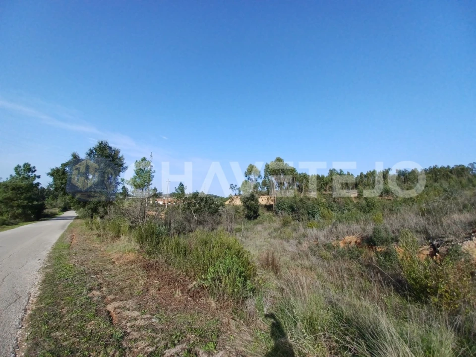 Terreno Agricola ou Rústico para Venda em Asseiceira Foto 4
