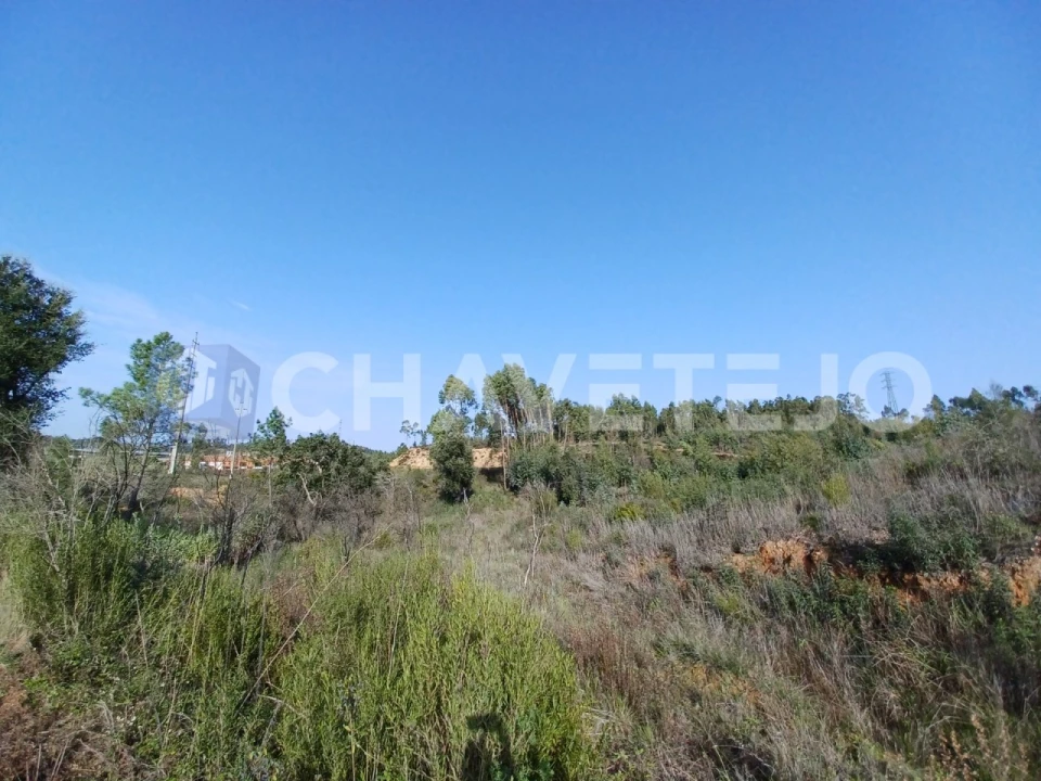 Terreno Agricola ou Rústico para Venda em Asseiceira Foto 5