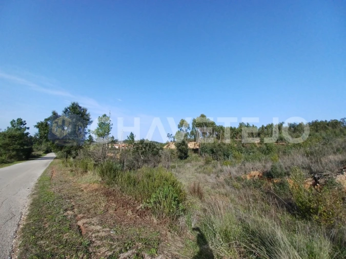 Terreno Agricola ou Rústico para Venda em Asseiceira Foto 4