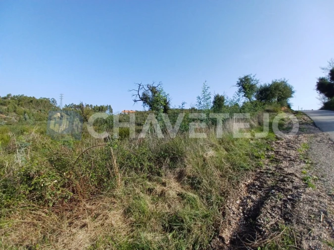 Terreno Agricola ou Rústico para Venda em Asseiceira Foto 6