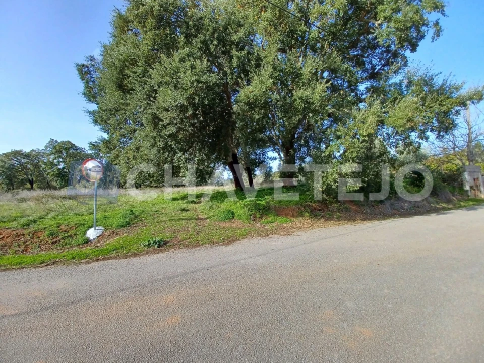 Terreno Agricola ou Rústico para Venda em Casais e Alviobeira Foto 2