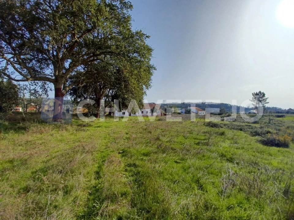 Terreno Agricola ou Rústico para Venda em Casais e Alviobeira Foto 9