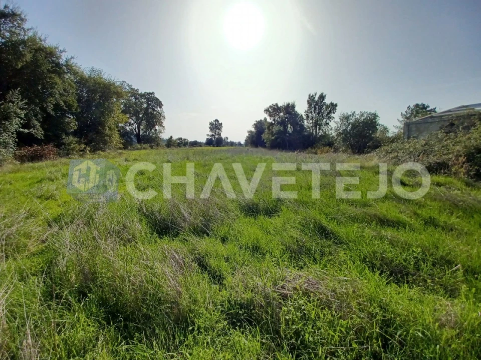 Terreno Agricola ou Rústico para Venda em Casais e Alviobeira Foto 12