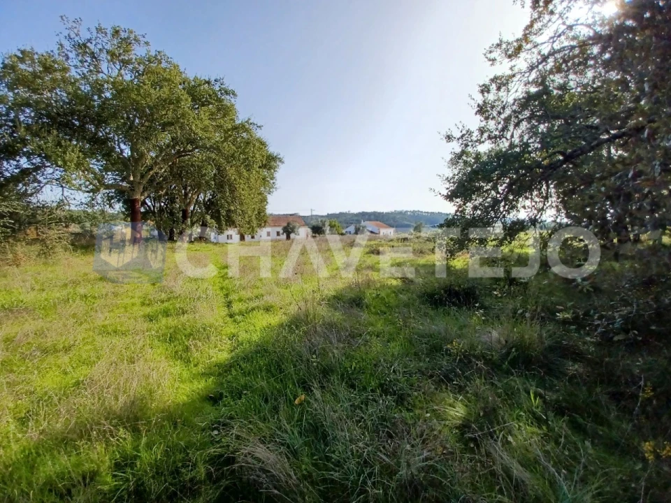 Terreno Agricola ou Rústico para Venda em Casais e Alviobeira Foto 13