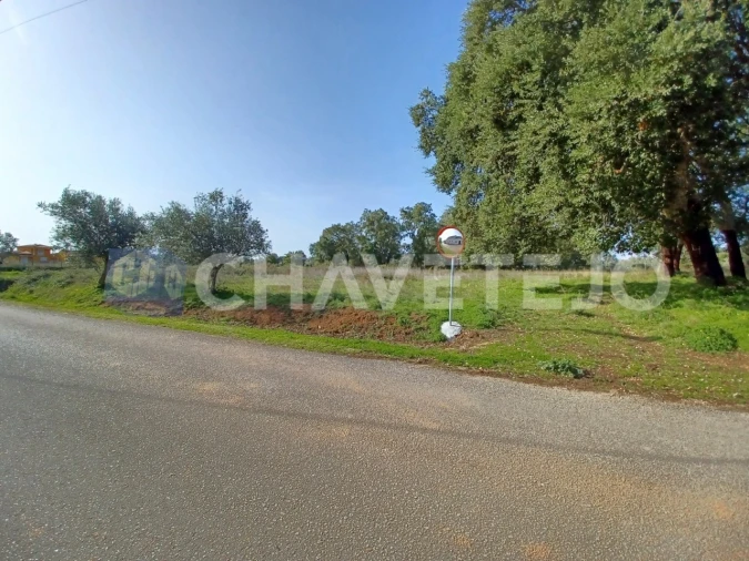 Terreno Agricola ou Rústico para Venda em Casais e Alviobeira Foto 3