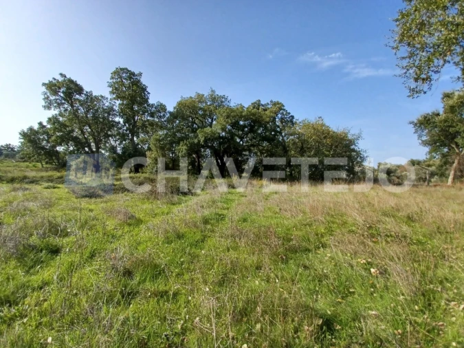 Terreno Agricola ou Rústico para Venda em Casais e Alviobeira Foto 5