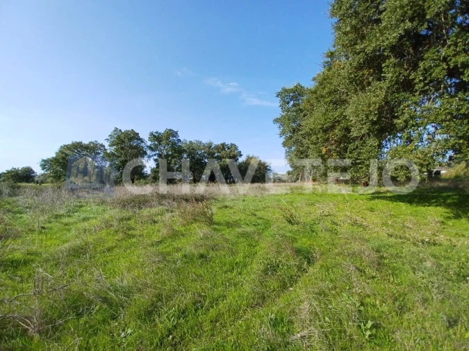 Terreno Agricola ou Rústico para Venda em Casais e Alviobeira Foto 7