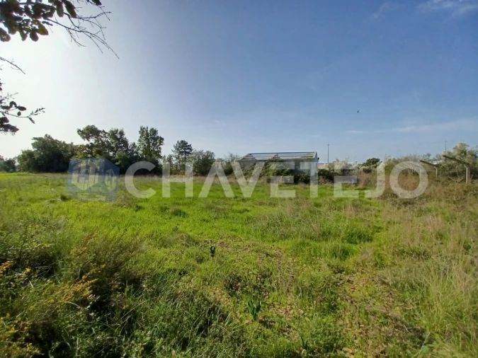 Terreno Agricola ou Rústico para Venda em Casais e Alviobeira Foto 8