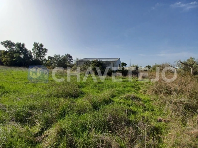 Terreno Agricola ou Rústico para Venda em Casais e Alviobeira Foto 11