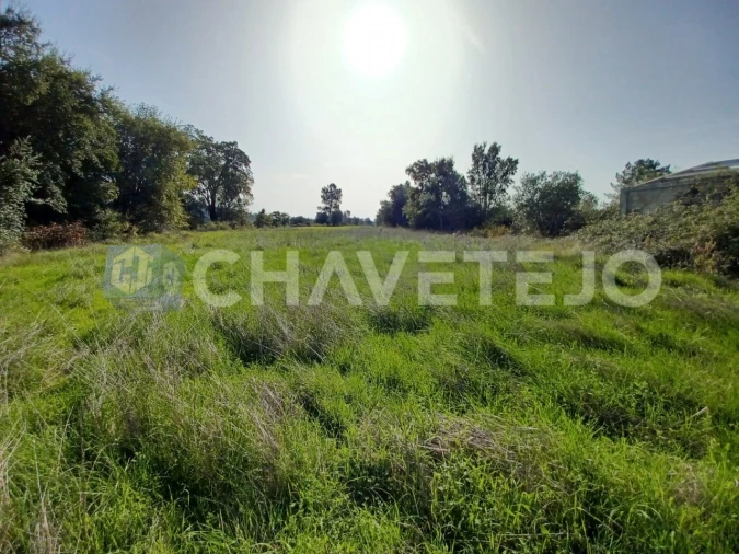 Terreno Agricola ou Rústico para Venda em Casais e Alviobeira Foto 12