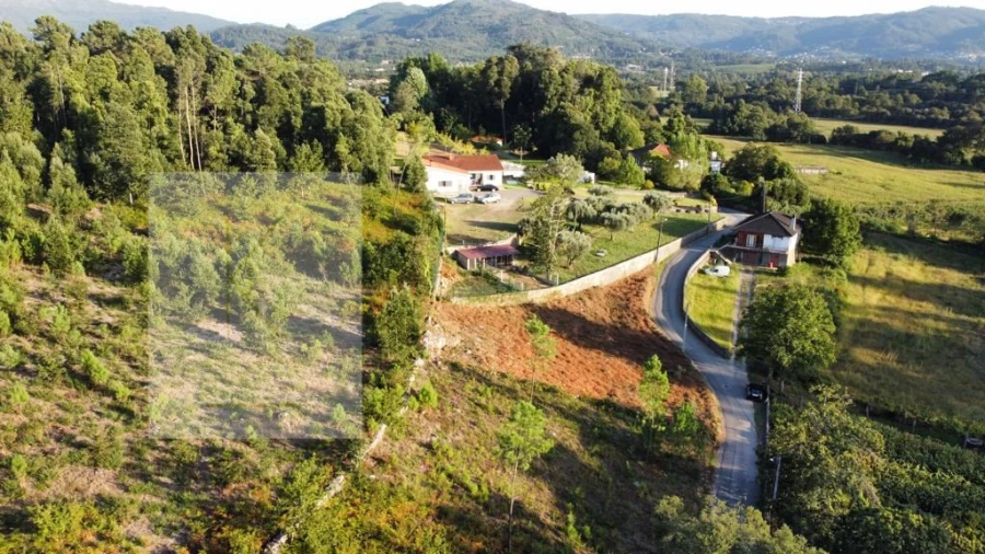 Terreno para Venda em Fontão Foto 4