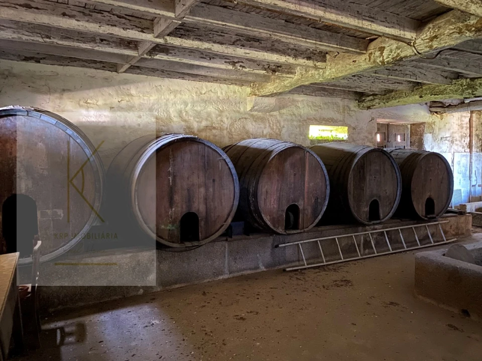 Quinta T4 para Venda em Fontão Foto 8