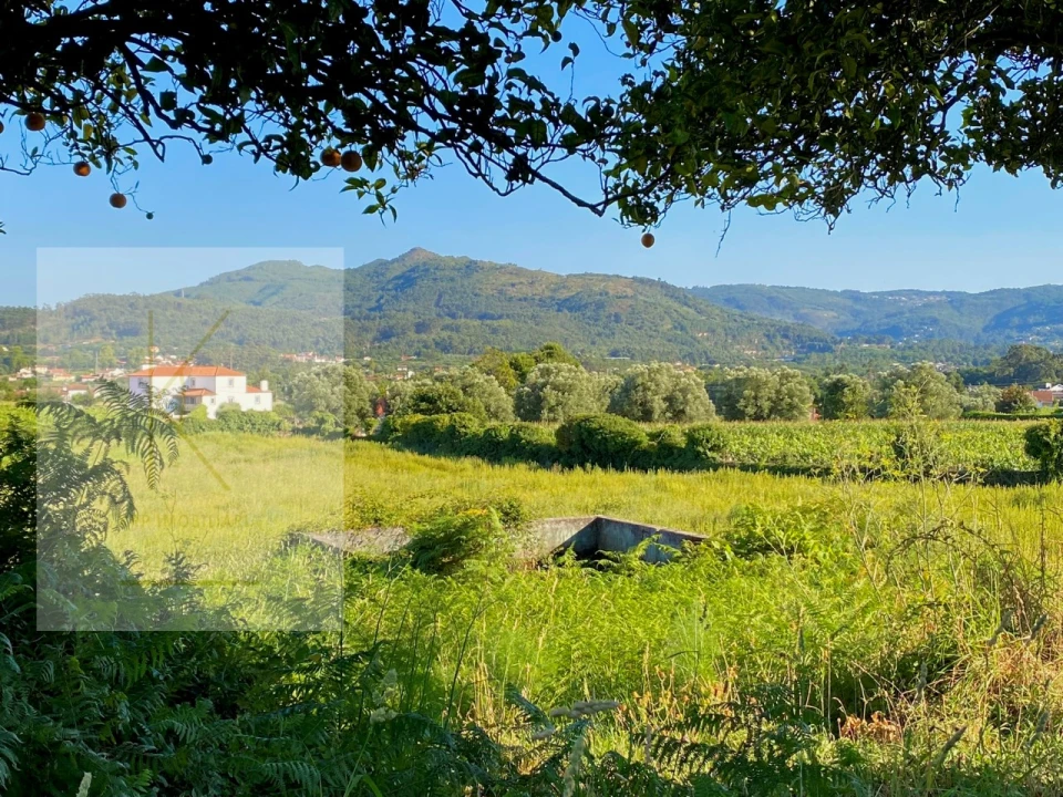 Quinta T4 para Venda em Fontão Foto 11