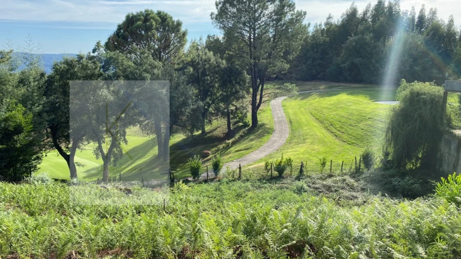 Moradia T3 para Venda em Fornelos e Queijada Foto 9