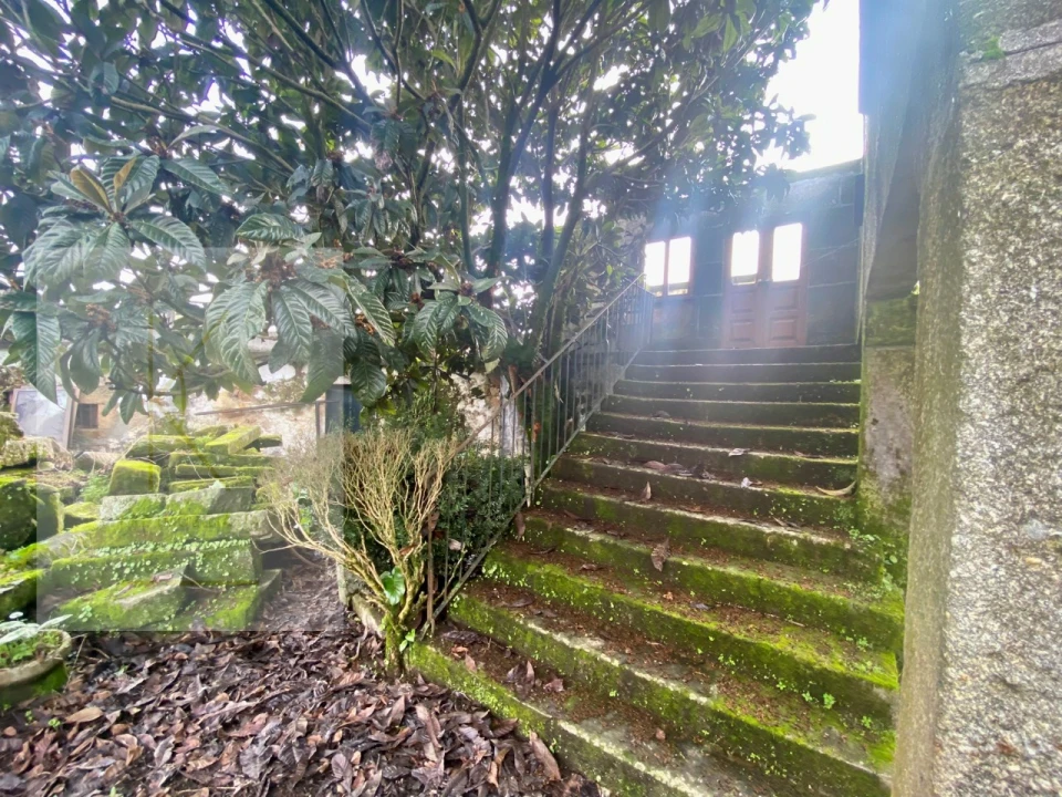 Quinta para Venda em Fontão Foto 5