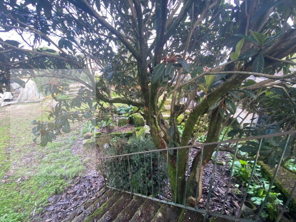 Quinta para Venda em Fontão Foto 17