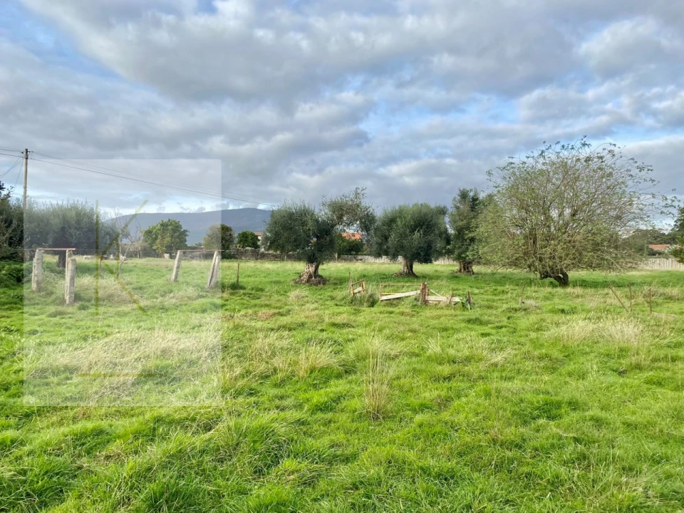 Quinta para Venda em Fontão Foto 26