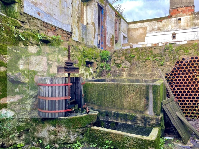 Quinta para Venda em Fontão Foto 5