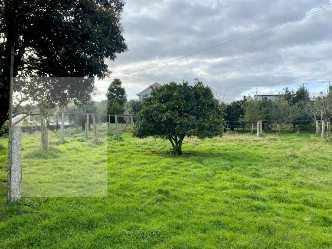 Quinta para Venda em Fontão Foto 19