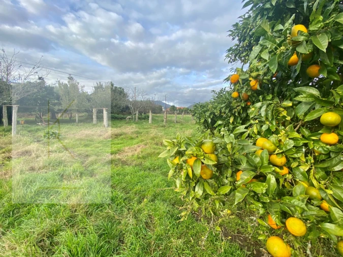 Quinta para Venda em Fontão Foto 23