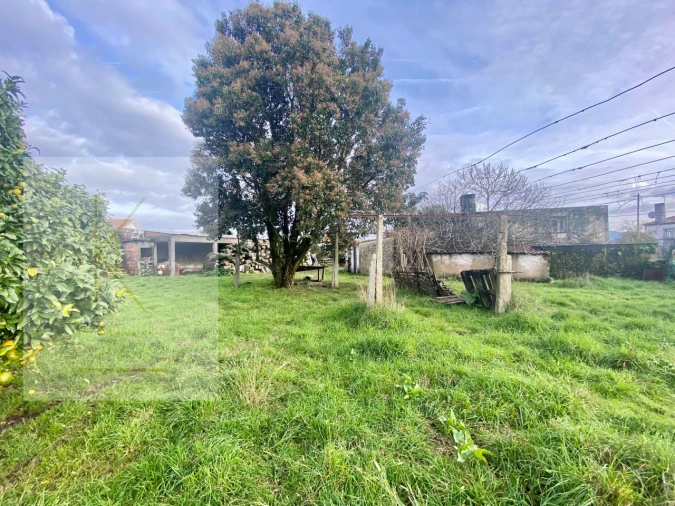 Quinta para Venda em Fontão Foto 24