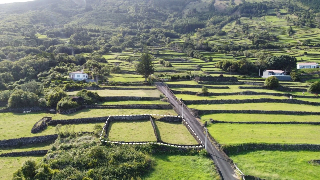 Terreno para Venda em Santo Amaro Foto 3