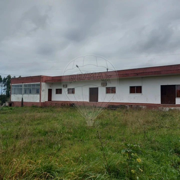 Armazém para Venda em Santa Maria, São Pedro e Sobral da Lagoa Foto 2