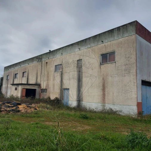 Armazém para Venda em Santa Maria, São Pedro e Sobral da Lagoa Foto 4