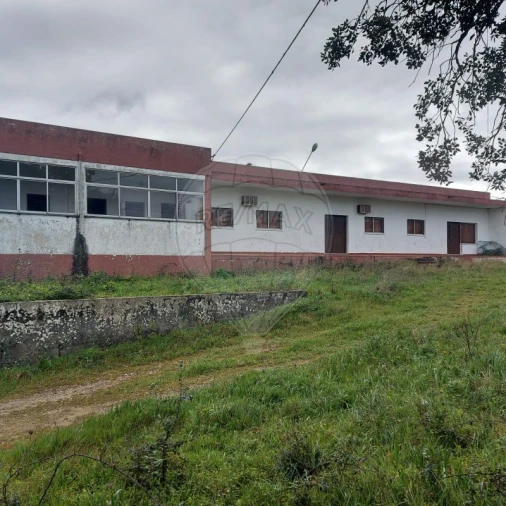 Armazém para Venda em Santa Maria, São Pedro e Sobral da Lagoa Foto 8