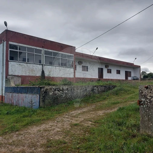 Armazém para Venda em Santa Maria, São Pedro e Sobral da Lagoa