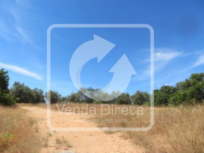 Terreno para Venda em Tavira (Santa Maria e Santiago) Foto 14