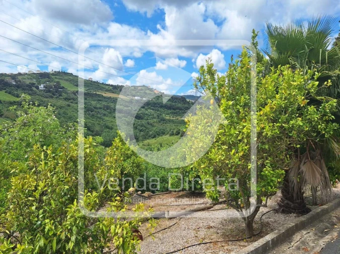 Moradia T6 para Venda em Arruda dos Vinhos Foto 28