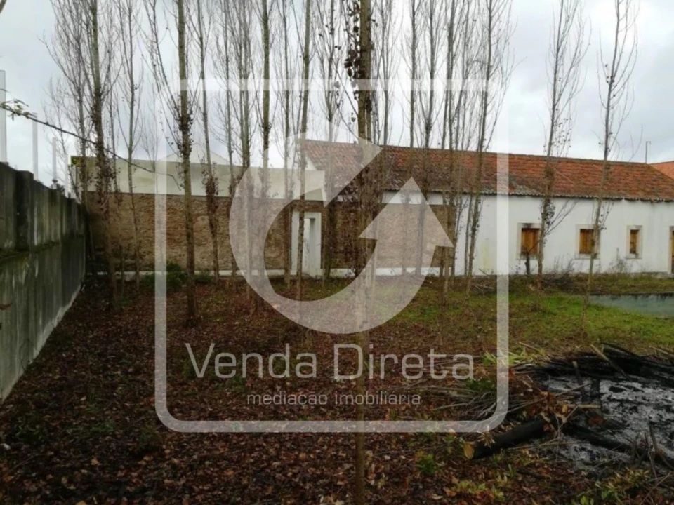 Moradia T6 para Venda em Santa Margarida da Coutada Foto 3