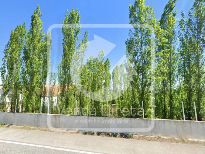 Moradia T6 para Venda em Santa Margarida da Coutada Foto 18