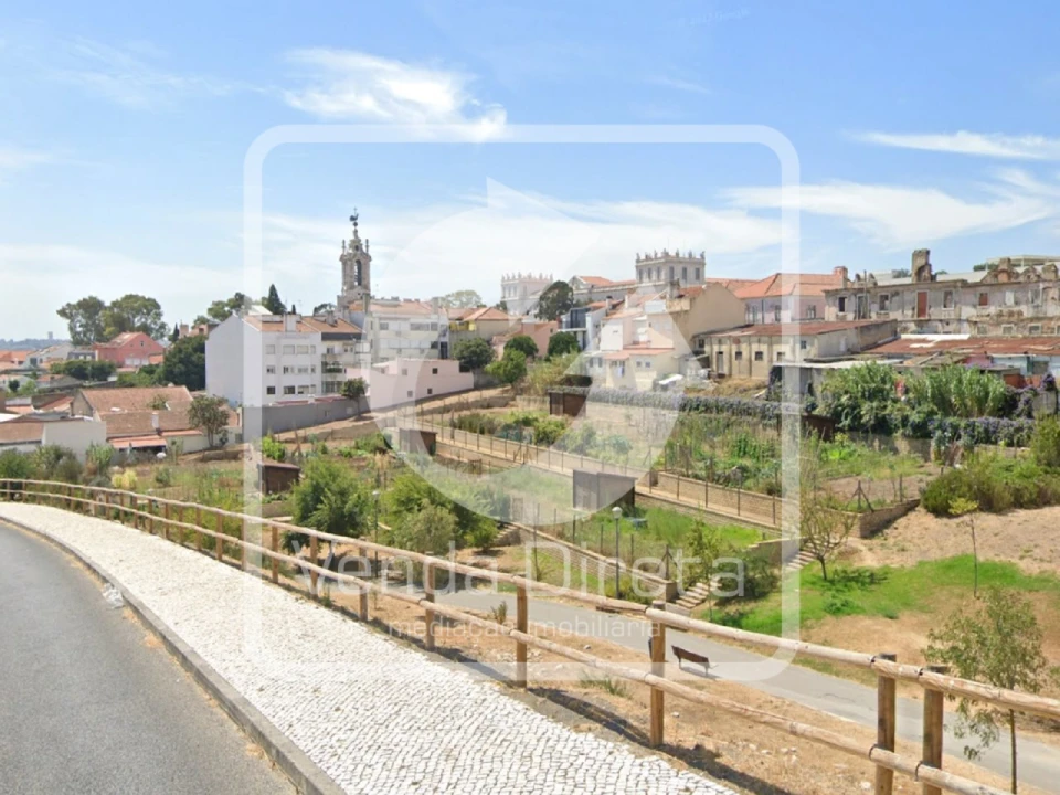 Terreno Agricola ou Rústico para Venda em Ajuda Foto 9