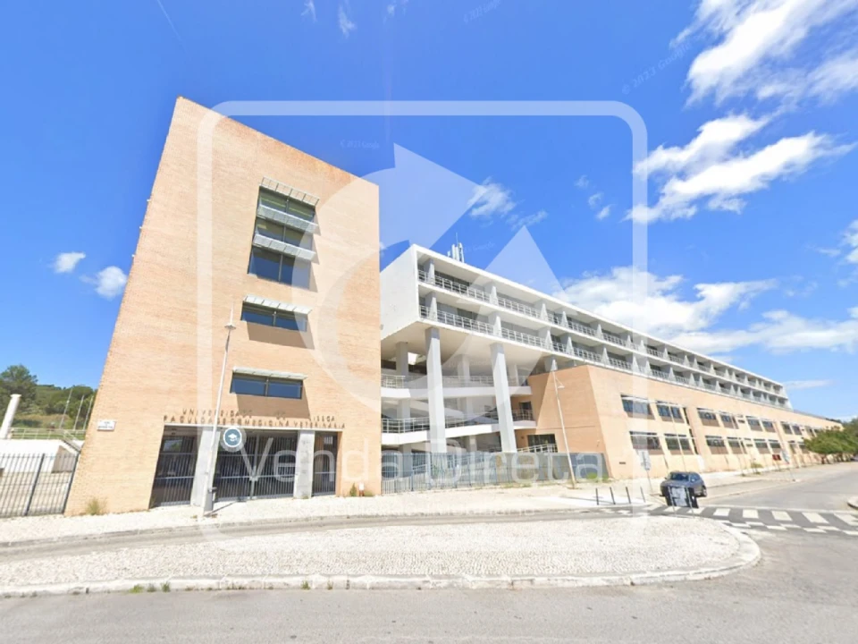 Terreno Agricola ou Rústico para Venda em Ajuda Foto 15