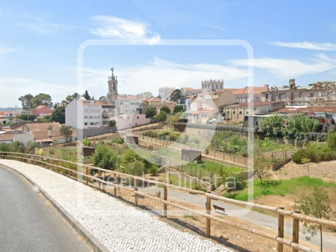 Terreno Agricola ou Rústico para Venda em Ajuda Foto 9